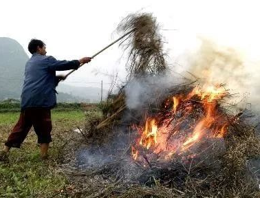 你年年都想燒的秸稈，今年可以吃票子了！