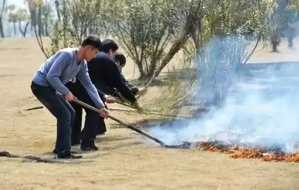 鳥槍換炮式的森林防火裝備升級 記錄森林防火發(fā)展軌跡